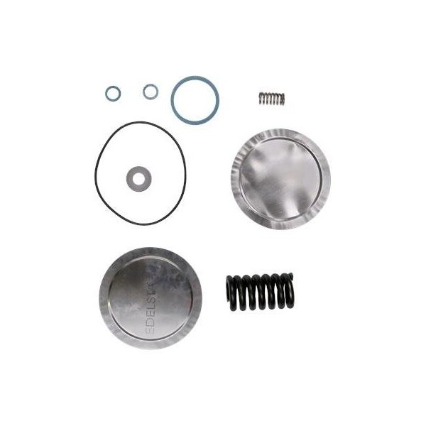 Pump Repair Parts- Kit, maint.Cl2/544/FKM/PVDF, Dosing Pumps.